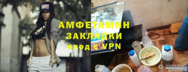 гашик Карпинск