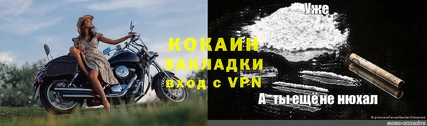 гидропоника Каменка