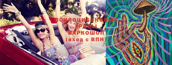 гидропоника Каменка