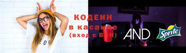 гидропоника Каменка