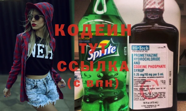 гашик Карпинск