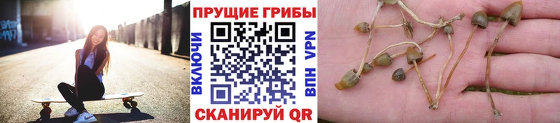 Галлюциногенные грибы MAGIC MUSHROOMS  МЕГА сайт  Кизел 